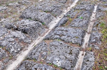 Chariot groves in stone Roman roads.