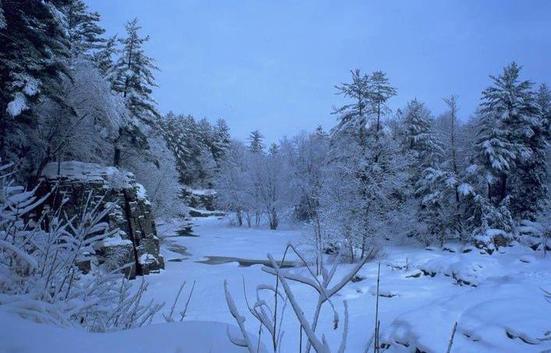 Stopping By Woods On Snowy Evening