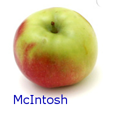 McIntosh - How to Use 10 Common Apple Varieties